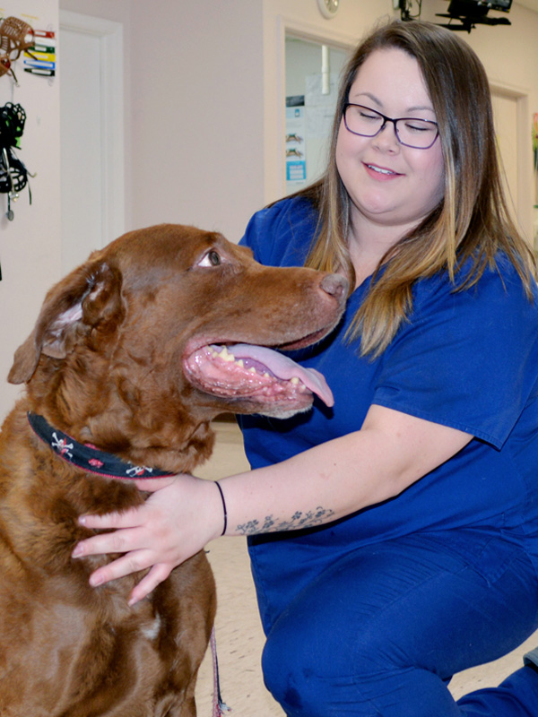 Veterinary Emergency Services Team Member with Dog